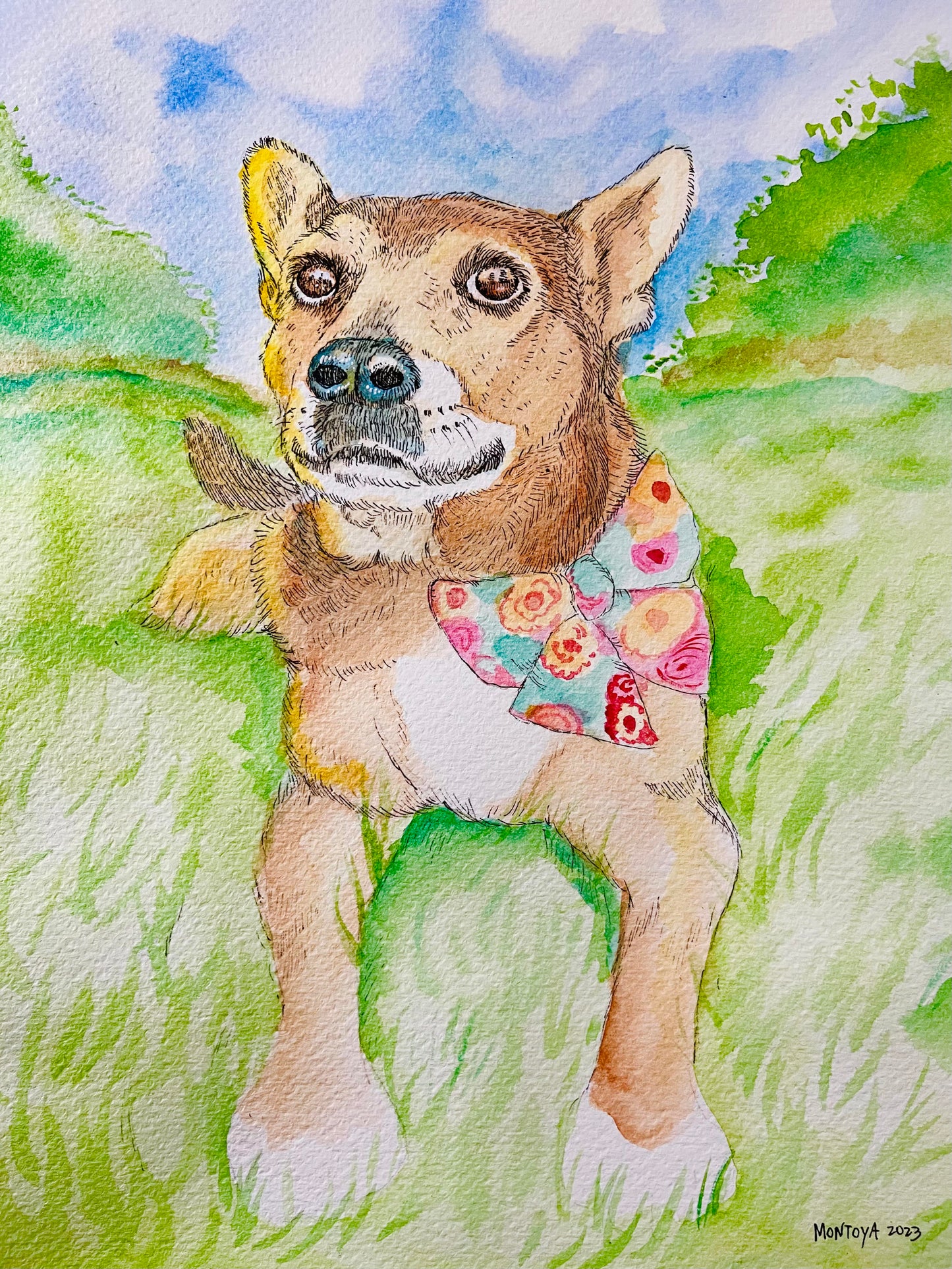 Dog Portrait